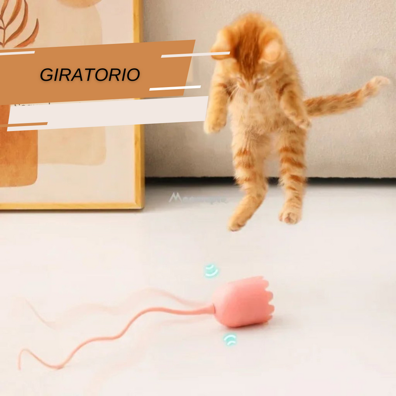 Brinquedo Interativo para Gatos Brincarem Sozinhos de Caça Gatomaníacas