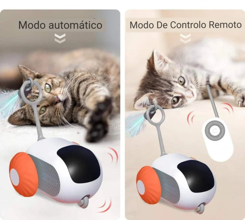 Brinquedos para Gatos Brincarem Sozinhos em Apartamento Robozinho Gatomaníacas