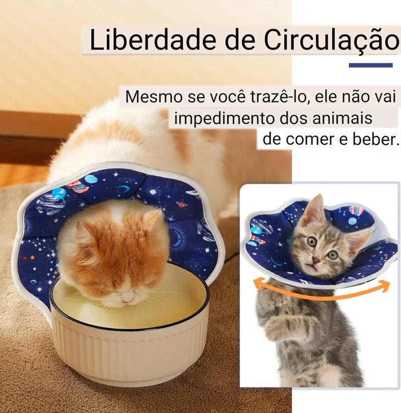 Colar Elizabetano para Gatos Cone Cirúrgico Premium