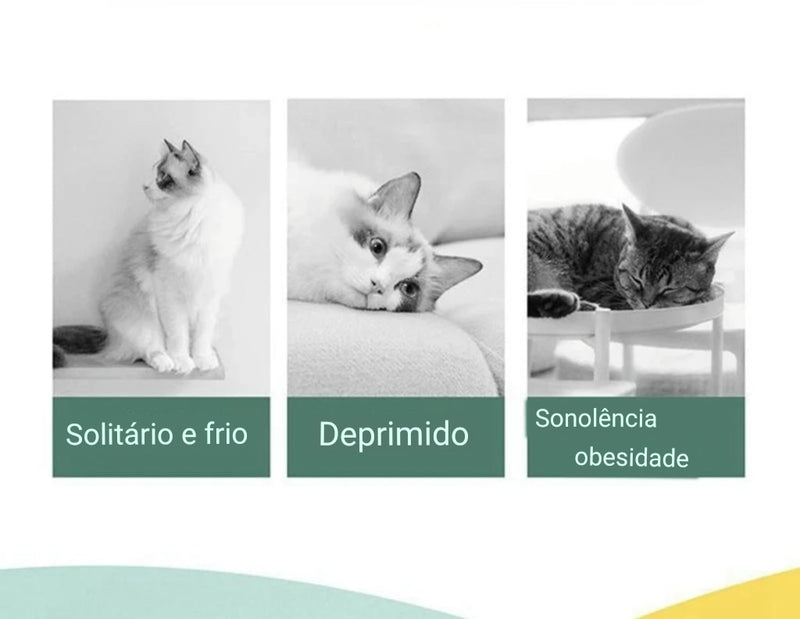 Brinquedo Interativo para Gatos Lança Discos Gatomaníacas